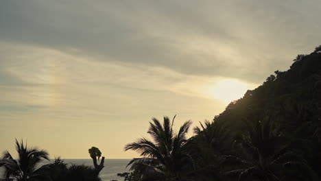 sunset behind tropical island mountain with silhouetted palm trees