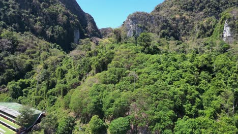 las colinas de la jungla primitiva isla phi phi isla
