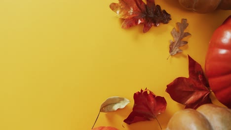 Video-of-pumpkins-with-autumn-leaves-on-orange-background