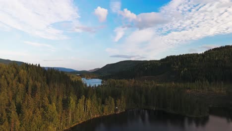 drone retira-se acima de nordre buvatnet, na noruega, com um lago sereno e densas áreas florestais circundantes