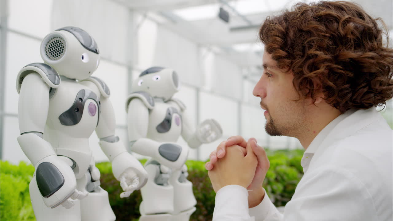 Laboratory technician in a white coat interacting with two humanoid robots near different types of lettuce in a greenhouse farm