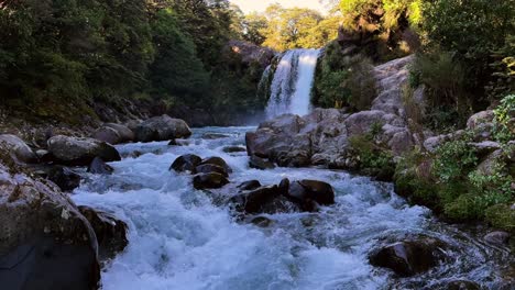 rushing water of tawhai falls, surrounded by lush green trees and rocks in tongariro national forest