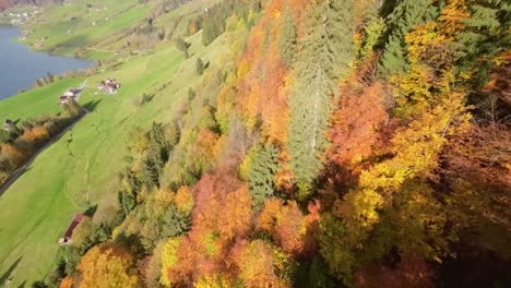 Drone-Aerial-Flight-Over-Switzerland-Lake