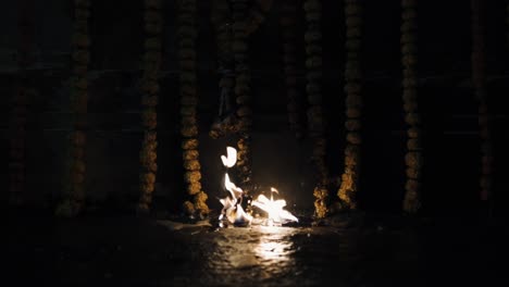 The-flame-of-a-burning-campfire-in-a-forest-surrounded-by-the-trunks-of-tall-trees-on-a-beautiful-dark-evening-alone