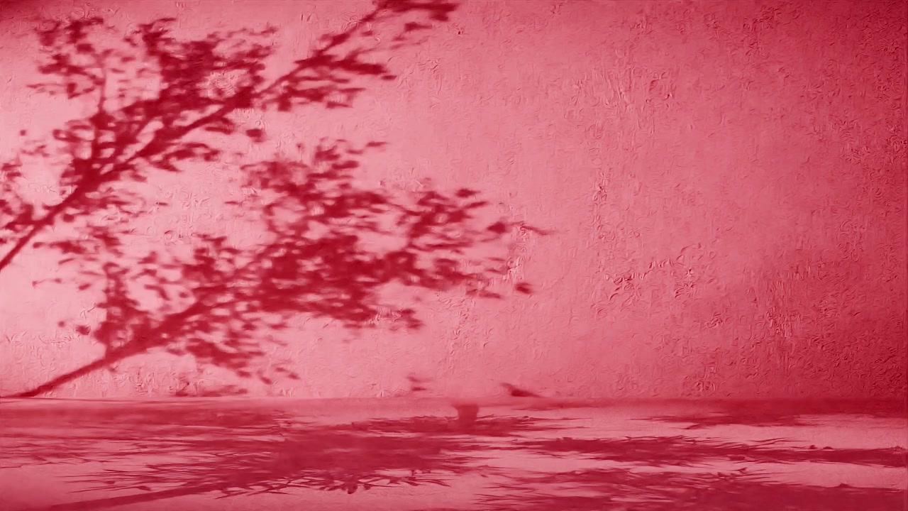 Sombra de ramas de árbol en una pared roja texturizada. Concepto de silueta natural