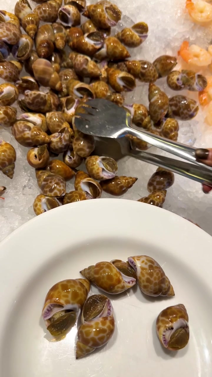 Close-up shot of metal tongs picking spotted babylon sea snails from ice onto white plate