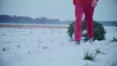 man pulling christmas tree in sled on snow covered field