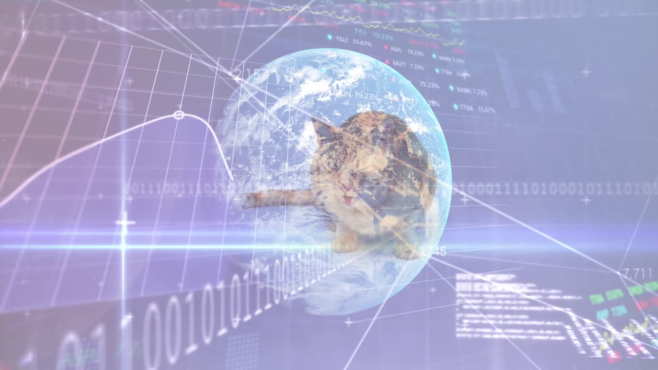animación de procesamiento de datos y globo sobre fondo blanco y gato