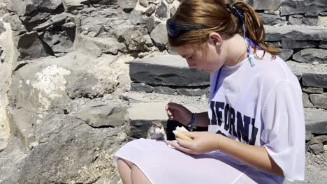 a gentle barbary squirrel cautiously approaches and takes food from a girl's hand on rocky steps in fuerteventura, canary islands, spain