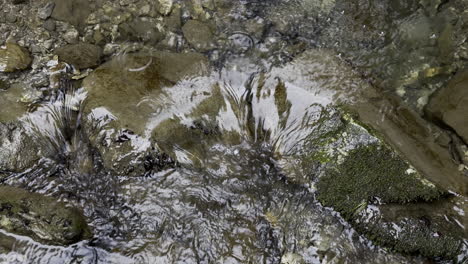 Primer-Plano-De-Un-Arroyo-Que-Fluye-Hacia-Las-Piedras