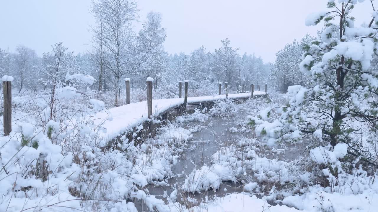 Snowy Wooden Bridge Through a Winter Forest