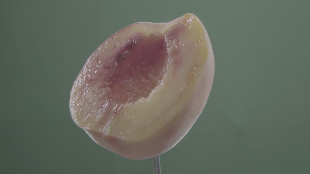 크로마 키를 위해 녹색 화면에 루프와 함께 회전하는 복아