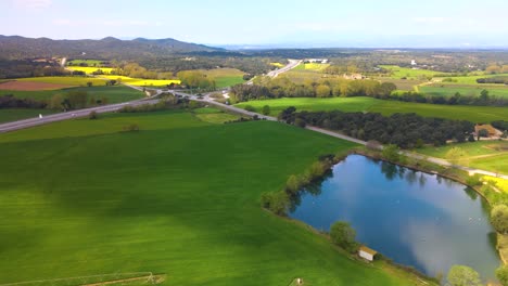 Aerial-images-with-drone-of-a-rapeseed-field-in-Llagostera-Gerona-Costa-Brava-Spain-zenith-shots-fluid-movements-European-crops-bike-rides