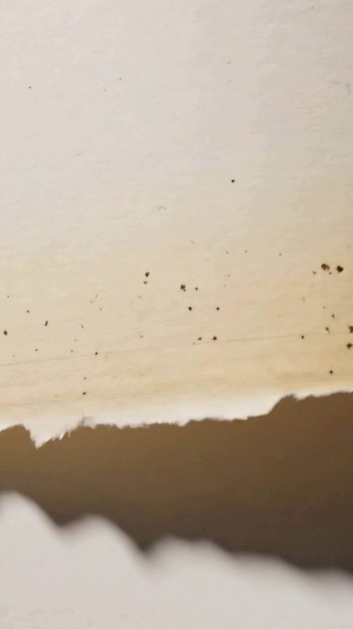 Vertical video: Shifting camera centering beige sheet on desk, showing torn white edge and specks