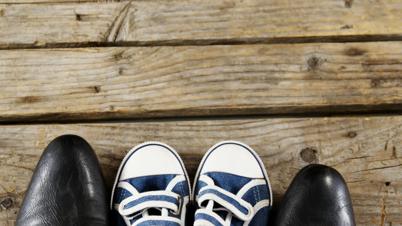 나무판 에 새 신발 을 두  ⁇