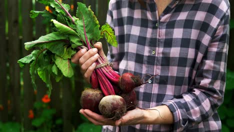 mature woman holding beetroot vegetable 4k