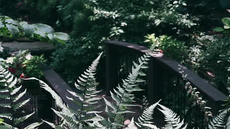 fern and bridge in a lush garden