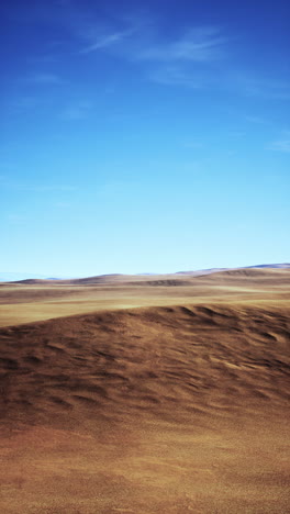 desert landscape