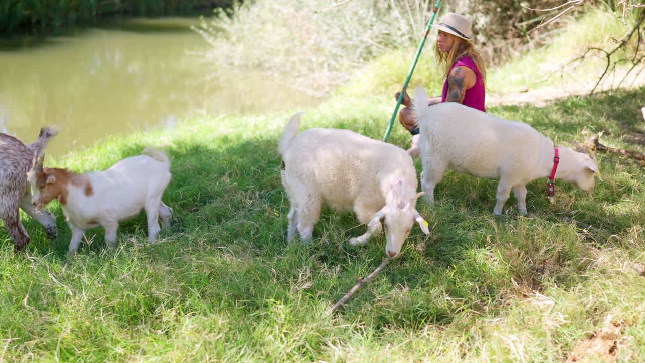 Žena sedí u rybníka, zatímco se kozy pasou na zelené trávě