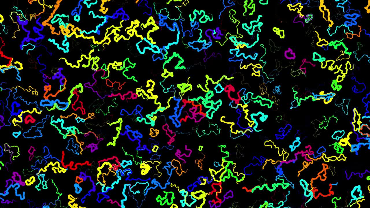 추상적인 크리에이티브 루프 (abstract creative looped bg) 는 서로 다른 색의 트레일처럼 휘어지는 선을 가지고 있으며, 휘어진 소음처럼 회전하는 패턴을 형성하며, 추상적인 3d 루프는 밝은 창의적인 축제 배경으로 흐르는 애니메이션입니다.