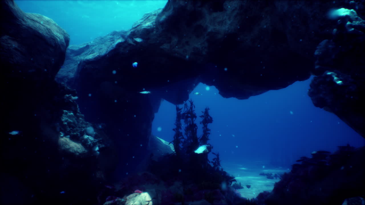cueva submarina con peces y corales