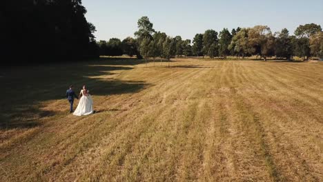 toma aérea, novia y novio caminando por el campo