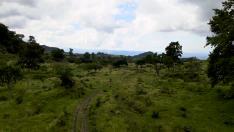 Mountain-Bike-Full-Suspension-in-the-jungle-Los-Tuxtlas-Veracruz