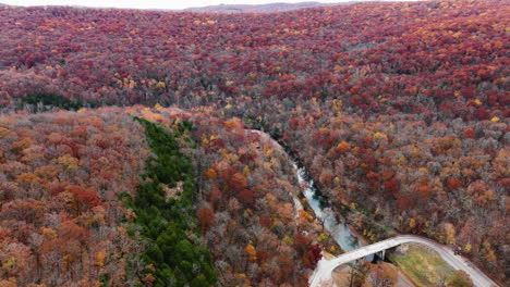 colorful autumn trees of devils den state park in arkansas - aerial