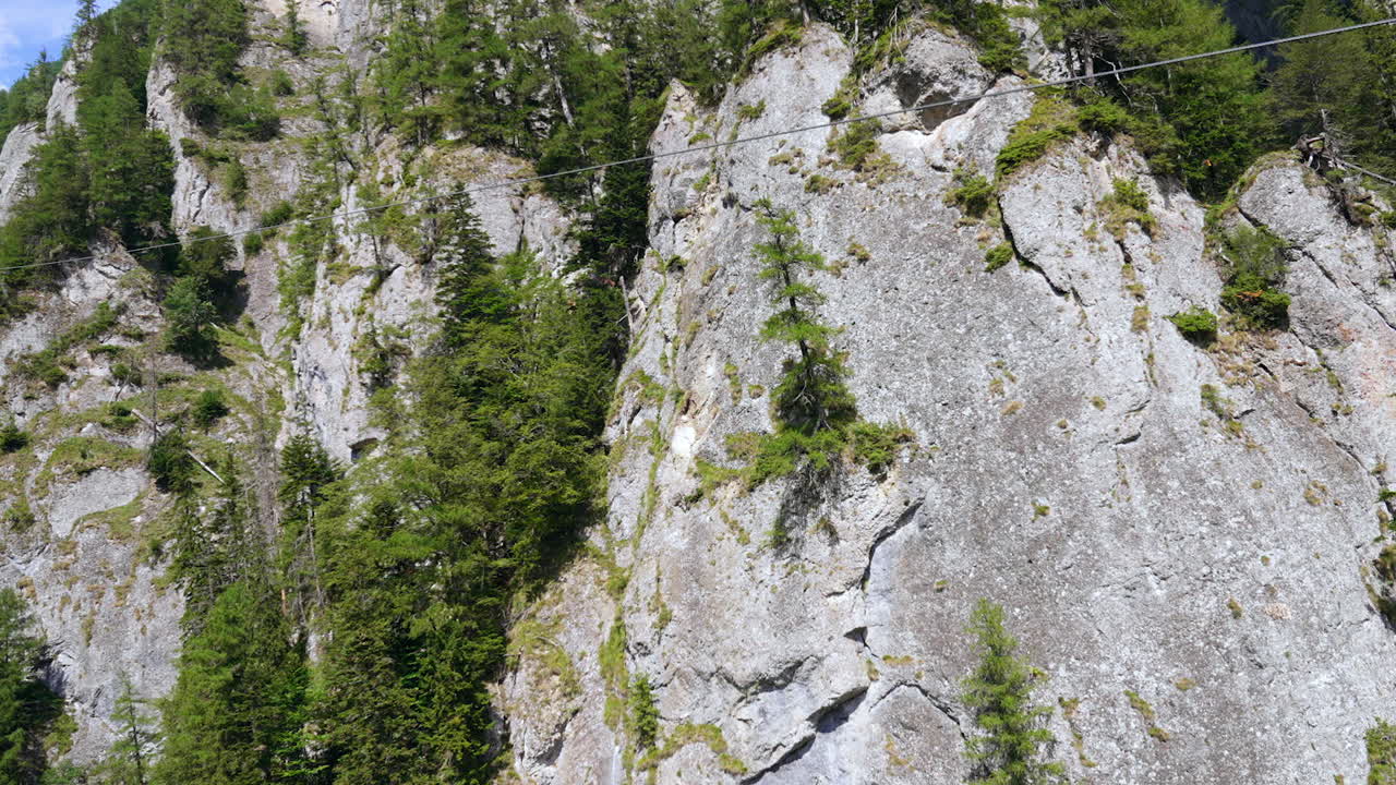 Evergreen pine trees grow on the cliff rocks. Moving along the stunning rocks in Busteni, Romania by the cable car