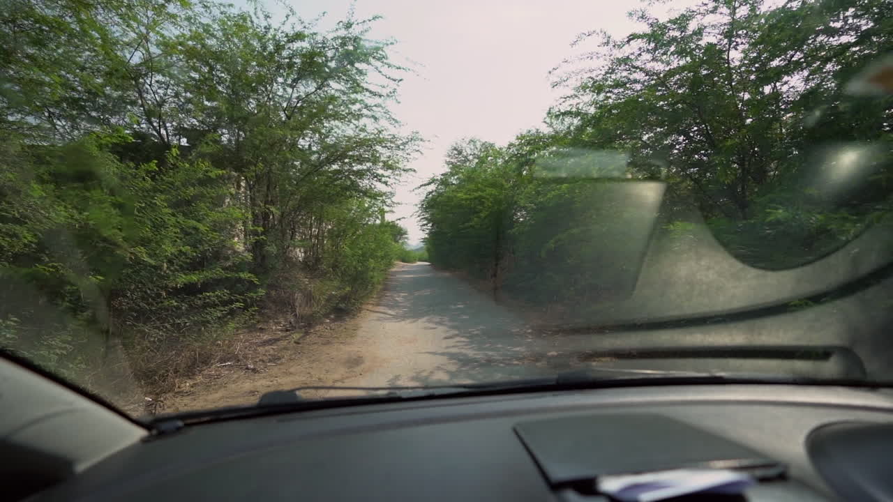 conduciendo en las ruinas antiguas a través del bosque en punjab, pakistán