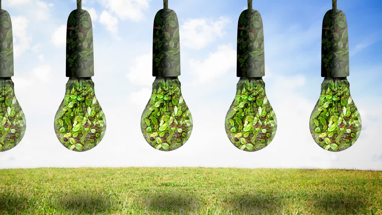 animación de bombillas llenas de plantas colgando sobre el cielo azul y la hierba