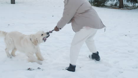 woman playing with her golden retriever in a snowy park