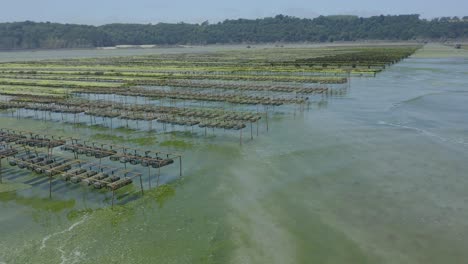 aerial view of oyster farm with basket and rack-and-bag system at low tide on a sunny day in brittany, france