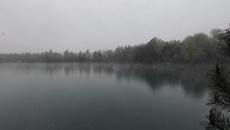 Grandes-Copos-De-Nieve-Caen-Sobre-Un-Lago-Místico-Con-Pino-En-Primer-Plano-Y-Bosque-En-Segundo-Plano