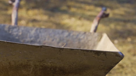 close-up view of unrecognizablle people removing weeds with a rake in the countryside