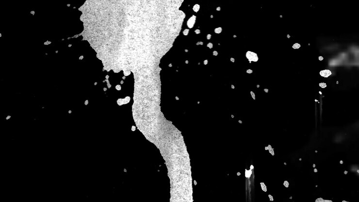Transizione Astratta con Schizzi d'Inchiostro Bianco e Nero