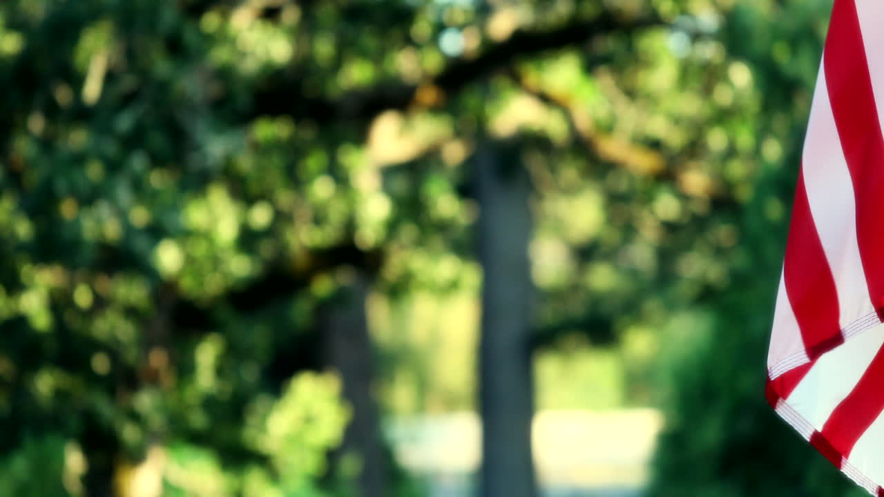 낮에 배경에 푸른 나무와 함께 흔들리는 깃발