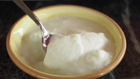 close up of a bowl of white yogurt with a spoon in it