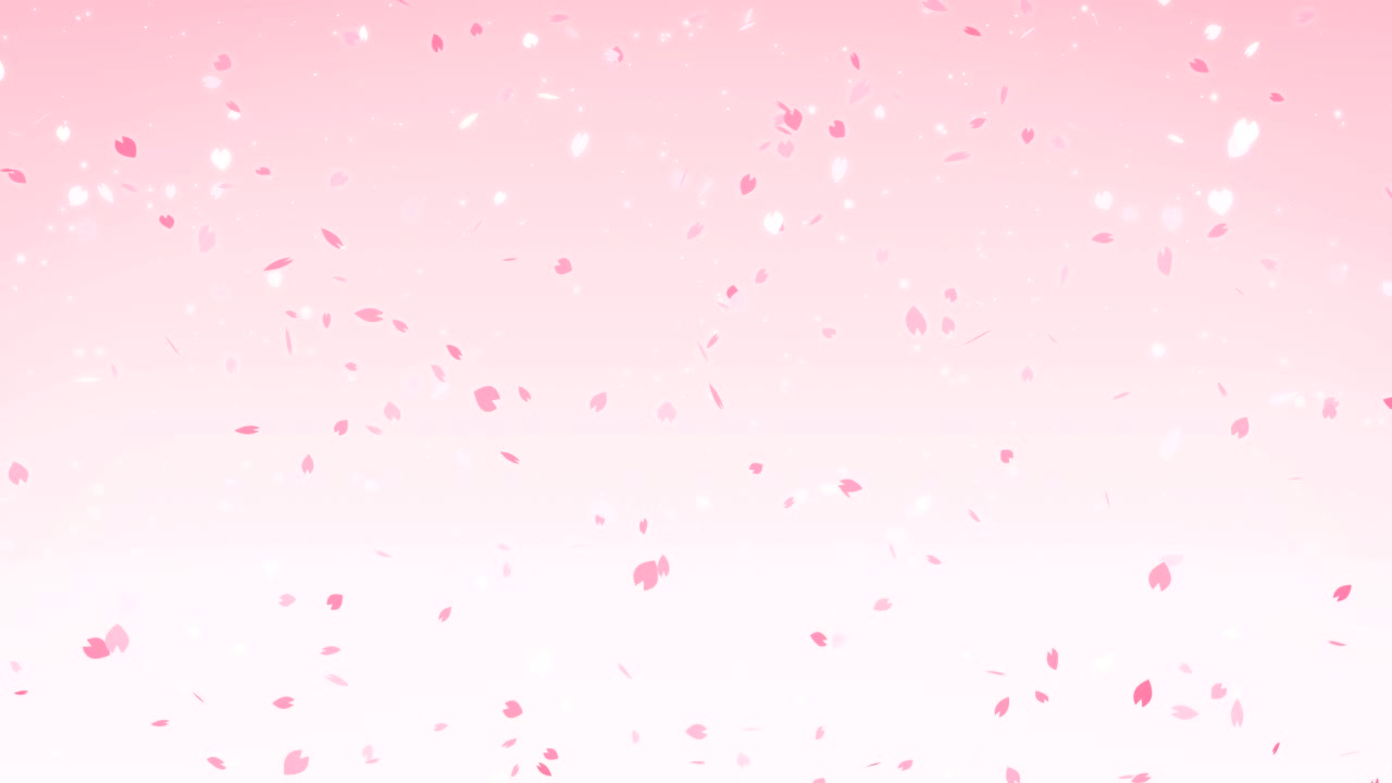 사쿠라 체리 꽃이 떨어지는 분홍색 배경, 루프