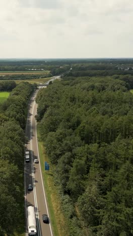 highway through a forest landscape