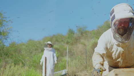 beekeepers working with beehives surrounded by bees on a sunny day