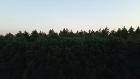 rising drone images fly over meadows to large forests at dusk