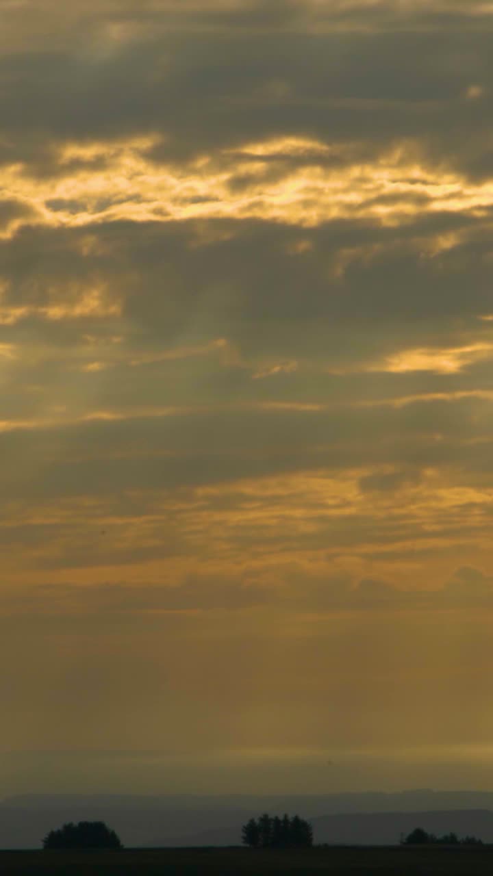 Vertical Video Panning Across Sunrise Scene with Trees and Orange Atmospheric Clouds in Early Morning.