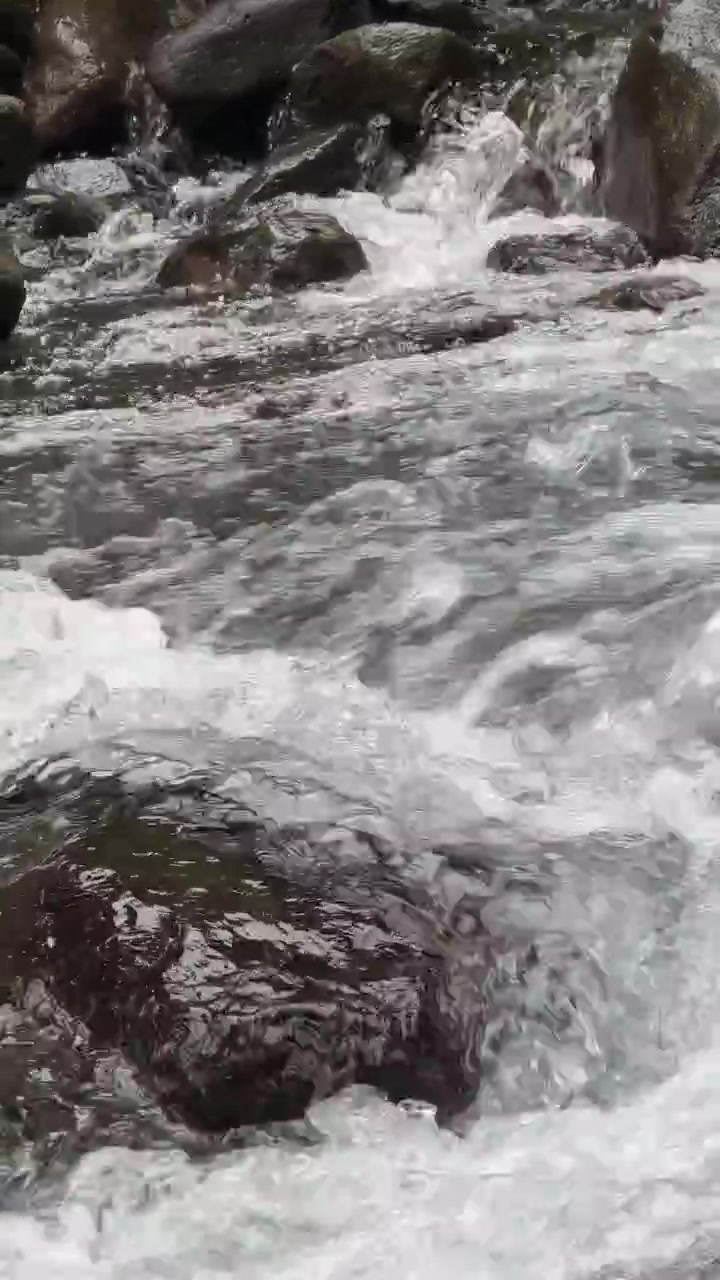 Chiaro ruscello di montagna che scorre su lisce rocce di fiume