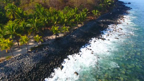 Hovering-Aerial-of-Rocky-Palm-Tree-Coast-and-Hidden-Tiki-Hut-with-Small-Waves-Crashing