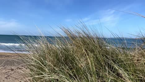 Imágenes-De-Lapso-De-Tiempo-De-Hierba-En-Una-Duna-De-Arena-Y-Playa-Con-Olas-En-Un-Día-Soleado-En-Irlanda