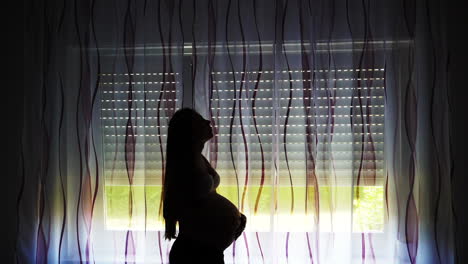 silhouette of pregnant woman at the window