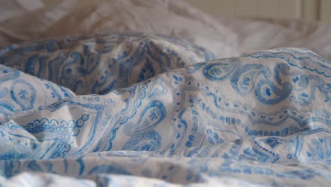 ropa de cama de paisley azul