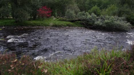 Small-river-stream-flowing-from-left-to-right-with-little-white-water-rapids