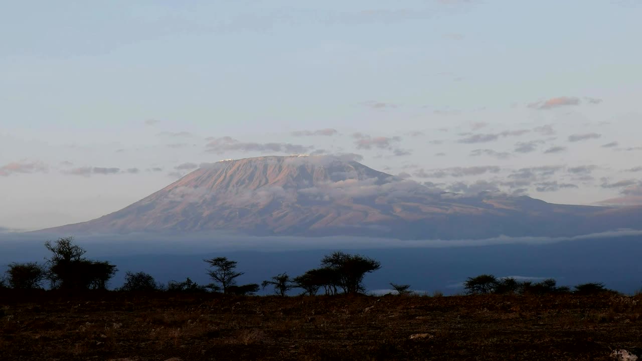 il monte kilimanjaro all'alba dal parco nazionale di amboseli, in kenya